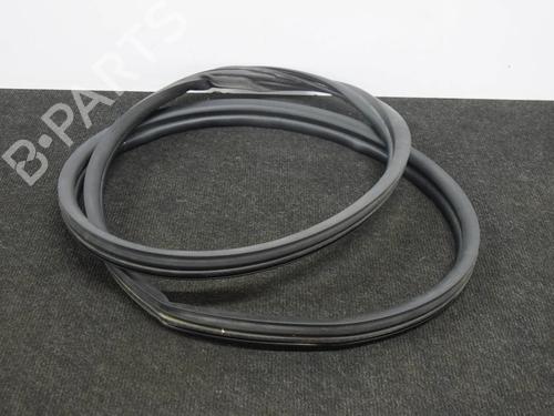 Gummiliste TESLA MODEL 3 (5YJ3) EV AWD | BP27748407C142