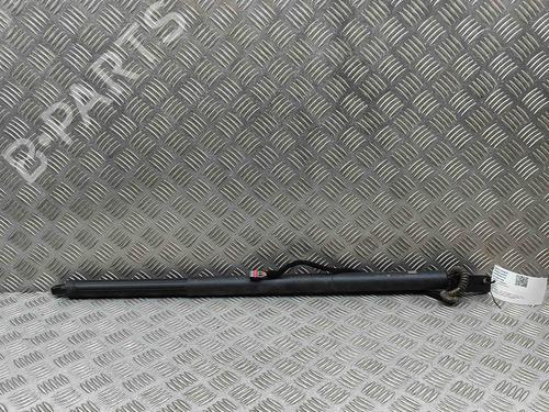 Tailgate lift support VW MULTIVAN T7 (STM, STN) 1.4 eHybrid | BP29542615C138 