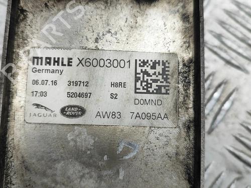 Oil radiator JAGUAR F-TYPE Convertible (X152) 3.0 SCV6 | BP27257811M33 