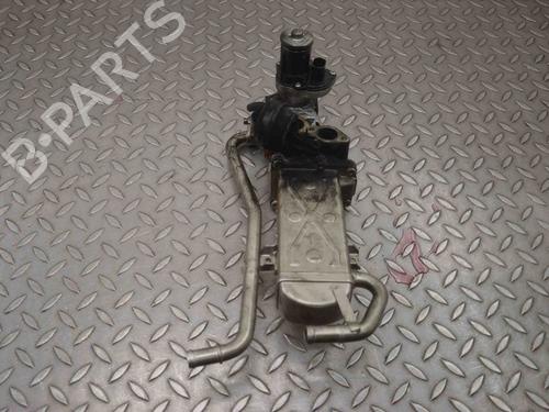 Egr NISSAN X-TRAIL III (T32_, T32R, T32RR) 1.6 DIG-T (T32) | BP30247386M69
