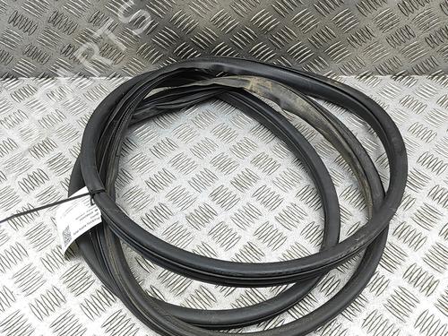 Gummiliste FORD RANGER (TKE) 3.2 TDCi 4x4 | BP35983954C142 - Image 5