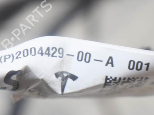 Wiring harness TESLA MODEL S (5YJS) P100D AWD | BP14623651E16 