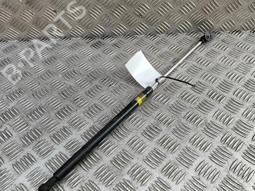 hood-lift-support-lexus-is-iii-_e3_-2013-28433928 main image