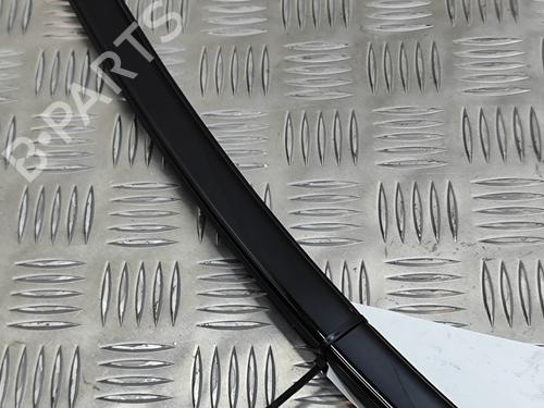 Door moulding trim BMW 7 (G11, G12) 730 d, Ld | BP19501572C150 