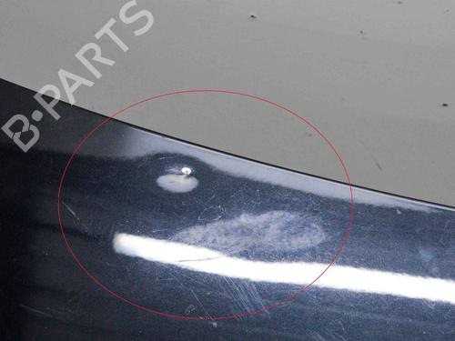 Tailgate BMW 4 Convertible (F33, F83) M4 | BP29752773C6 