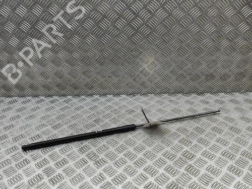 hood-lift-support-peugeot-508-ii-fb_-fh_-f3_-2018-29975337 main image