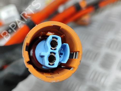 Wiring harness MERCEDES-BENZ EQS (V297) EQS 450+ (297.123) | BP28558071E16 