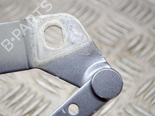 Hinge/Door check strap LAND ROVER RANGE ROVER EVOQUE (L538) 2.0 D 4x4 | BP14635875C146 