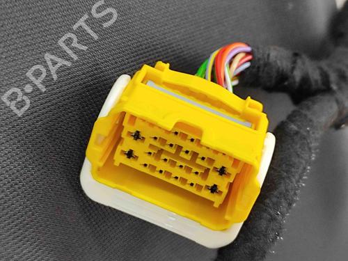 Interior roof PEUGEOT 508 II (FB_, FH_, F3_) Hybrid 225 (F35GQU) | BP29974983I12