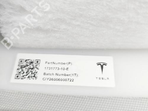 Andre TESLA MODEL 3 (5YJ3) EV | BP38515855O1 - Image 6