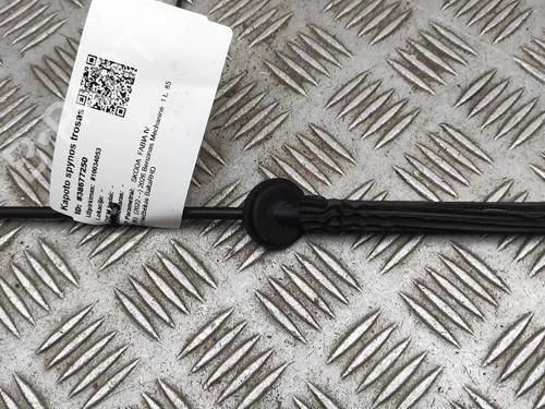 Cable SKODA FABIA IV (PJ3) 1.0 TSI | BP39101769E12  - Image 5