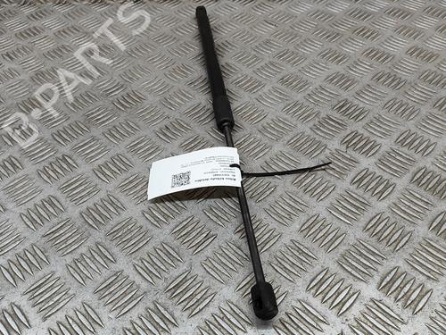 Tailgate lift support AUDI A1 Sportback (GBA) 25 TFSI | BP19645095C138 