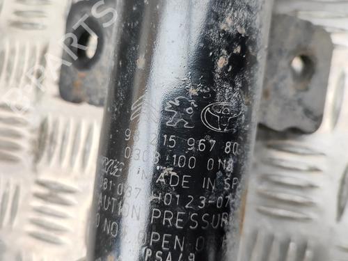 Right front shock absorber OPEL VIVARO C Bus (K0) 2.0 | BP31951204M17