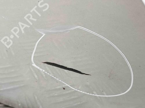 Tailgate TOYOTA RAV 4 III (_A3_) 2.2 D 4WD (ALA30_, ALA30R) | BP29752865C6 