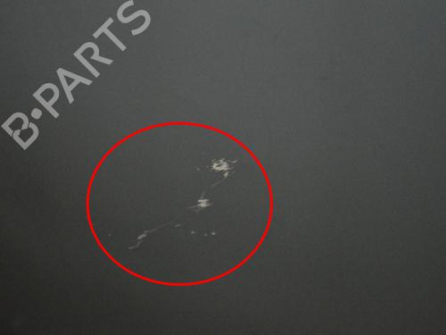 Sunroof DODGE RAM 1500 Pickup (DJ, DS) 5.7 4x4 | BP30249316C124