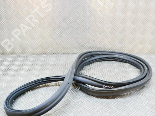 Gummiliste TESLA MODEL 3 (5YJ3) EV AWD | BP27758223C142 - Image 3