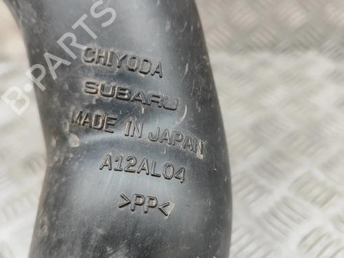 Pipe SUBARU OUTBACK (BS) 2.0 D AWD (BSD) | BP24141068M125  - Image 6