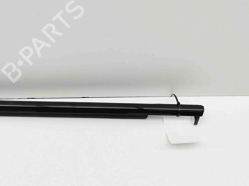 Door moulding trim BMW 5 (G30, F90) 530 e Plug-in-Hybrid xDrive | BP29488313C150 