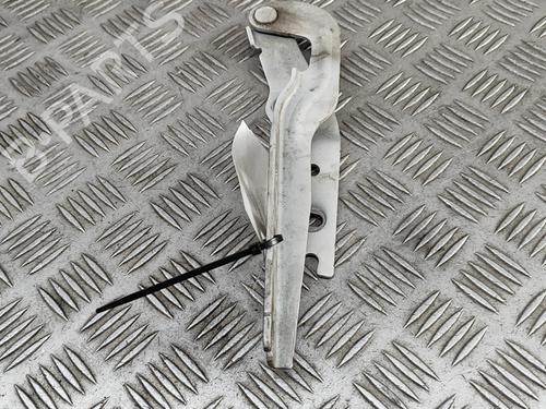 Hinge/Door check strap VW GOLF VII (5G1, BQ1, BE1, BE2) e-Golf | BP27350511C146 