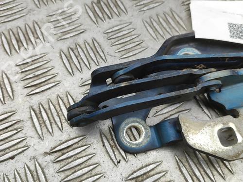 Hinge/Door check strap JAGUAR XJ (X350, X358) D 2.7 | BP31021258C146