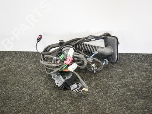 Ledningsnet MERCEDES-BENZ E-CLASS (W213) E 200 4-matic (213.043) | BP14663785E16 