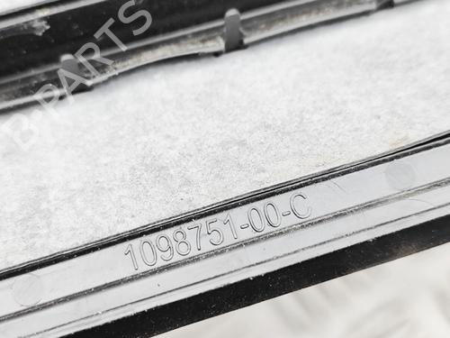 Grill TESLA MODEL 3 (5YJ3) EV | BP36327150C40 - Image 6