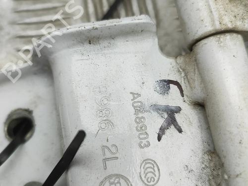 Hinge/Door check strap PEUGEOT BOXER Van 2.2 BlueHDi 140 | BP32369837C146