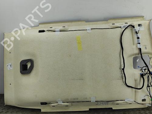 Interior roof PEUGEOT 2008 II (UD_, US_, UY_, UJ_, UR_, UC_) 1.2 PureTech 130 (USHNS, URHNS) | BP28552590I12 