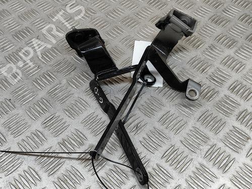 Hinge/Door check strap AUDI A5 Sportback (F5A, F5F) 35 TFSI Mild Hybrid | BP28432224C146 