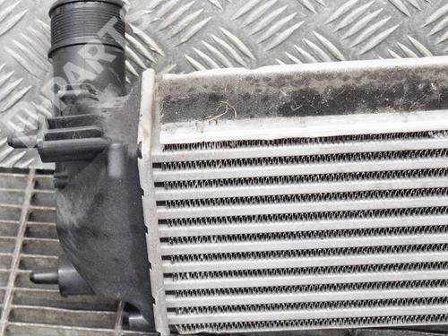Ladeluftkühler FORD ECOSPORT 1.0 EcoBoost | BP9511716M30 