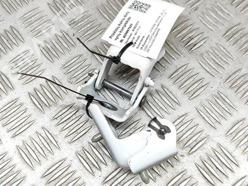 Hinge/Door check strap CITROËN C4 III (BA_, BB_, BC_) 1.2 PureTech 130 (BAHNSA, BAHNSB) | BP28557891C146 