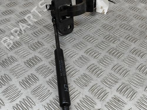 Hinge/Door check strap VOLVO V70 III (135) D5 | BP25788162C146 