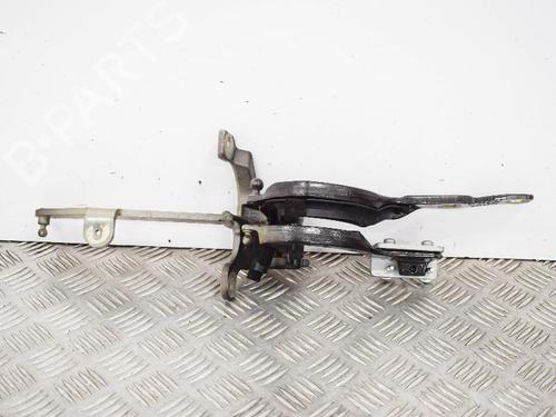 Hinge/Door check strap BMW 5 Touring (F11) 530 d xDrive | BP14663954C146 