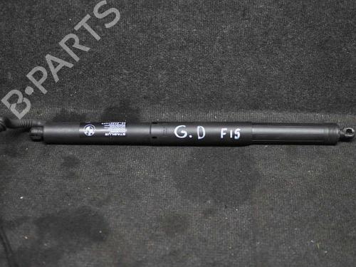 Tailgate lift support BMW X5 (F15, F85) xDrive 30 d | BP14646967C138 