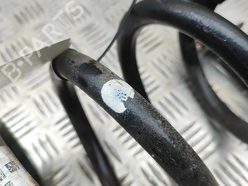 Støddæmperfjeder TESLA MODEL Y (5YJY) EV | BP32973876C152  - Image 5