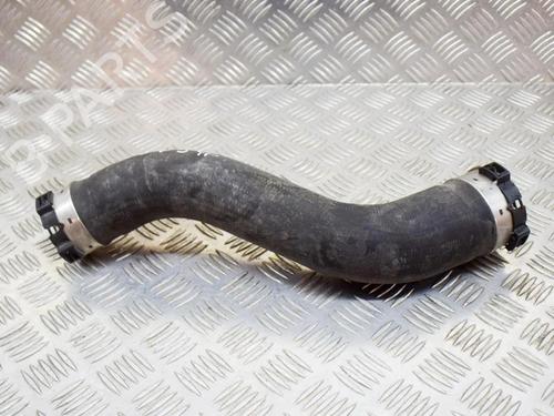 Used Pipe BMW 2 Coupe (F22, F87) 218 i (136 hp) 8837768