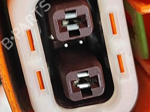 Wiring harness TESLA MODEL 3 (5YJ3) EV Performance AWD | BP27779227E16