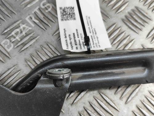 Hinge/Door check strap NISSAN ARIYA (FE0) EV e-4ORCE | BP29337043C146 