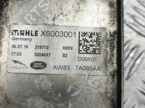 Oil radiator JAGUAR F-TYPE Convertible (X152) 3.0 SCV6 | BP27257811M33 