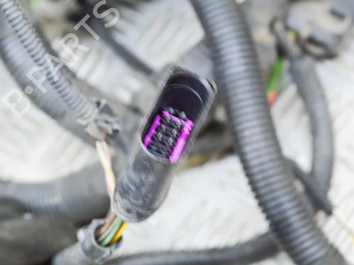 Wiring harness PORSCHE PANAMERA (970) 3.0 D | BP14622893E16 