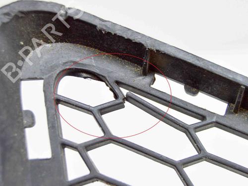 Grille BMW 3 (E90) 320 d | BP29637454C40 