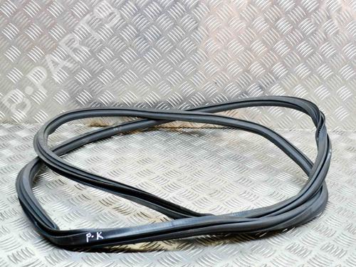Rubber door seal AUDI Q5 (FYB, FYG) SQ5 TDI Mild Hybrid quattro | BP27751031C142