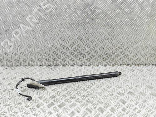 tailgate-lift-support-hyundai-santa-fe-iii-dm-dma-2012-2013-2014-2015-2016-2017-2018-39446955 main image