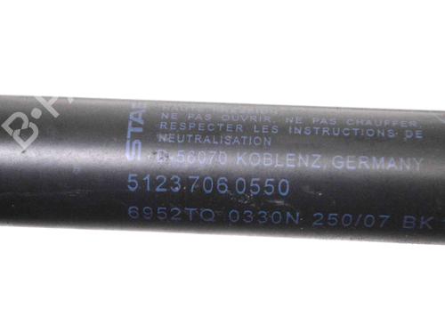 Hood lift support BMW 3 (E90) 335 d | BP30225629C139