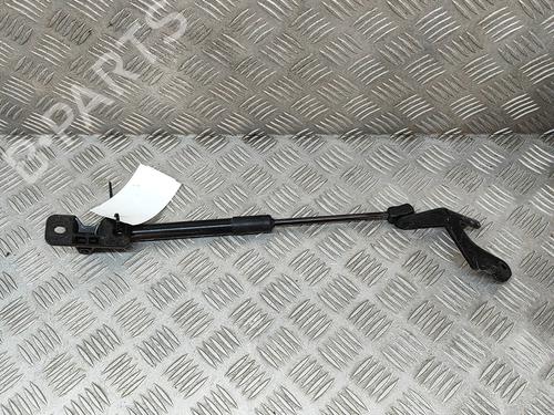 hood-lift-support-tesla-model-3-5yj3-2017-29391290 main image