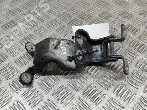 Hinge/Door check strap FORD USA F-150 4.2 4x4 | BP28557517C146 