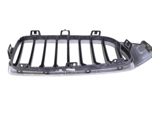 Grill FORD USA MUSTANG Coupe 5.0 302 | BP30256420C40