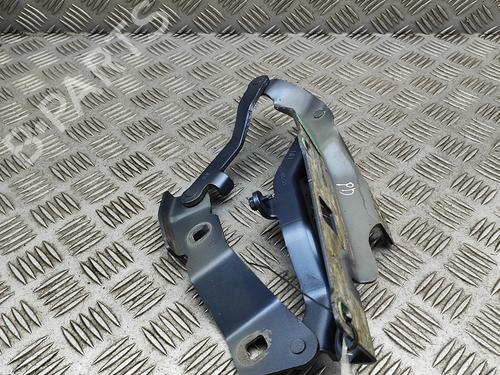 Hinge/Door check strap LAND ROVER DISCOVERY V (L462) D300 MHEV 4x4 | BP30644292C146