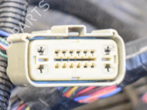 Wiring harness TESLA MODEL X (5YJX) P100D AWD | BP14613473E16 