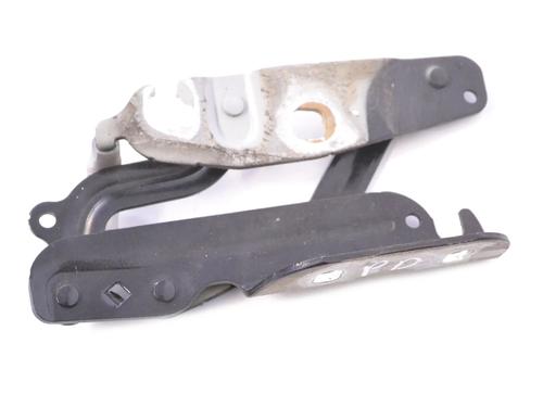 hingedoor-check-strap-ford-fiesta-vi-cb1-ccn-2008-33344630 main image